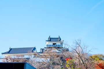 青空に映える浜松城の天守閣と天守門