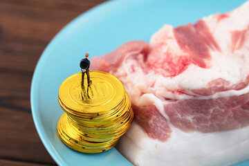 Miniaturized world gold coin and pork price movements