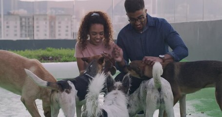 Love, dogs and young couple at animal shelter for adoption or volunteering together for fun. Smile, date and happy man and woman playing and bonding with pet puppies at rescue kennel center.
