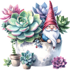 Succulent and Cactus, A watercolor painting of succulent plants with a whimsical gnome planter, PNG Clipart, High Quality Transparent Backgrounds