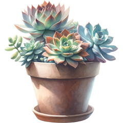 Succulent and Cactus, A watercolor painting of succulent plants in a terracotta pot, PNG Clipart, High Quality Transparent Backgrounds