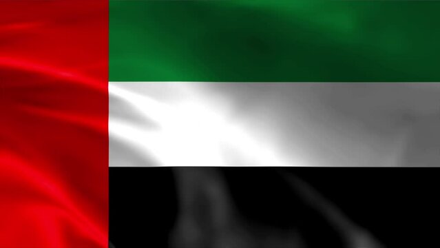 Flag of United Arab Emirate