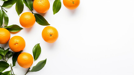 whole oranges with orange tree leaves on white background - obrazy, fototapety, plakaty