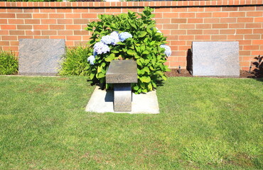 Blank Cemetery Headstones in Daylight