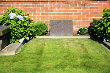 Blank Cemetery Headstone in Daylight 