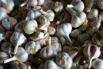 garlic in the market