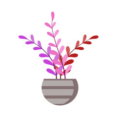 colorfull flowers in pot. isolated in white backround