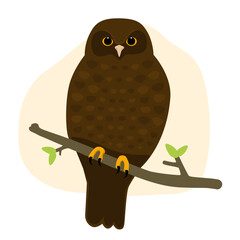 Ruru Morepork Owl Native Aotearoa New Zealand Bird Flat Graphic Vector Illustration on Isolated Background
