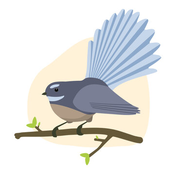 Piwakawaka Fantail Native Aotearoa New Zealand Bird Flat Graphic Vector Illustration on Isolated Background
