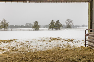View of a snowy pasture from a run-in shed on a snowy day.