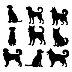Isolated cats on the white background. cats silhouettes. Vector EPS 10.	