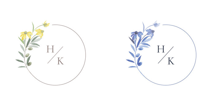 Minimalist botanical circle frame, cutleaf conflower and olive branch