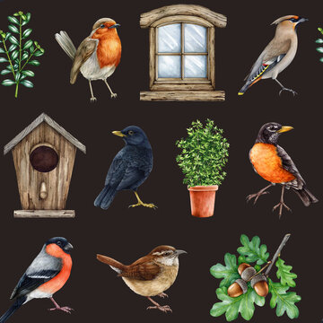 Garden birds, countryside natural elements seamless pattern. Watercolor illustration. Hand drawn backyard bird collection, birdhouse, tree branch, wren, robin, window element seamless pattern
