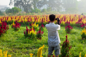 Rear view of man on sand dune in desert,Full length of people in tunnel. Rear view of person running on pier over lake against mountains.