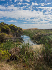 Piccaninnie Ponds Conservation Park; conserves a wetland (fed by freshwater springs) of 862 hectares located in South Australia