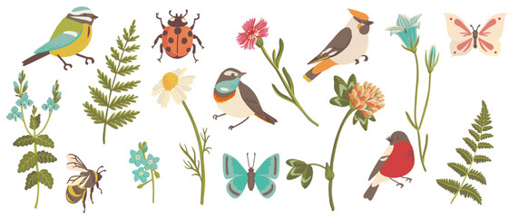 vector drawing set of birds, flowers leaves and insects, hand drawn illustration, isolated natural design elements