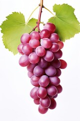 Fototapeta premium bunch of grapes