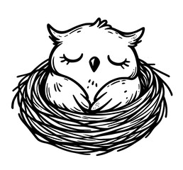 Baby Owl Sleeping in a Nest Line Art Illustration