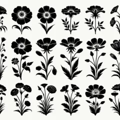Deurstickers Detaillierte Blumensilhouetten - Vektorgrafik Sammlung 01 © Matthias