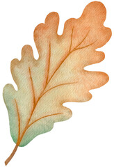 Autumn Oak Leaf