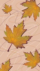 Maple Leaves Illustration