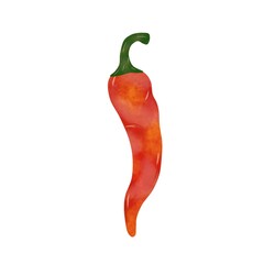 Red Chili Illustration