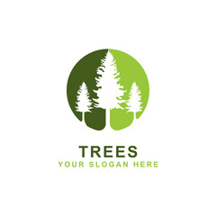 Pine Tree Vector Logo Template. Vector silhouette of a tree illustration.