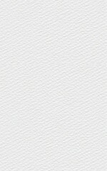Paper texture background 