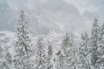 新潟　真冬の十日町