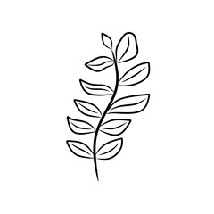 Black and white leaf drawing. Suitable for nature themed designs, botanical illustrations, educational materials, and organic product packaging.