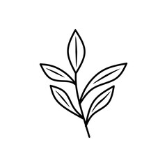 Black and white leaf drawing suitable for nature themed designs, organic products, environmental campaigns, educational materials, and minimalist aesthetic concepts.