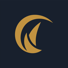 Boomerang logo design vector illustration