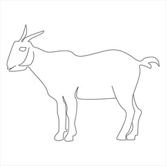 Continuous one line drawing of Domestic Goat line art drawing vector illustration