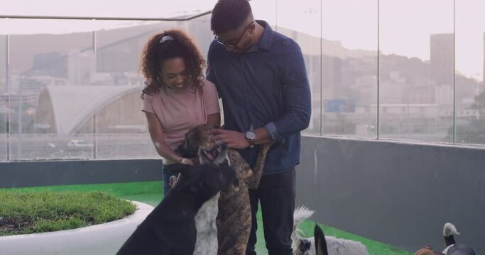 Happy, dogs and young couple at animal shelter for adoption or volunteering together for fun. Smile, date and man and woman playing, loving and bonding with pet puppies at rescue kennel center.