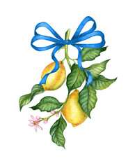 Watercolor illustration of a twig with yellow ripe lemons, green leaves and blue ribbon. Isolated...