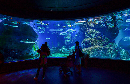 Thailand, Bangkok - August 30, 2018: Sea Life Bangkok Ocean World Aquarium in the shopping center of Siam Paragon