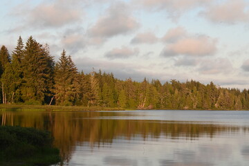 autumn landscape with lake and trees