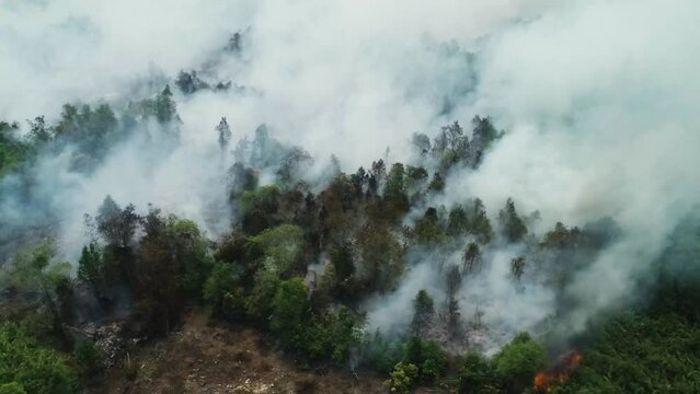 Dramatic aerial footage of forest fires in Riau, Indonesia | Kebakaran hutan Riau 4K drone