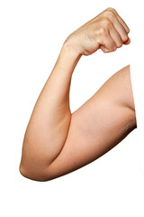 power fitness man's hand,male arm showing biceps isolated on white background.Studio shot.