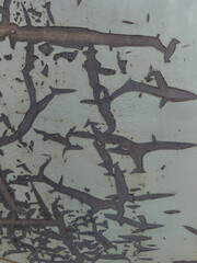 Patterns of rust on the car body