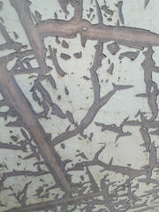 Patterns of rust on the car body
