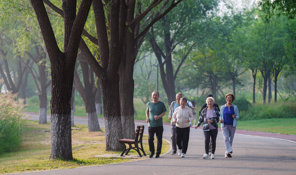 Old people exercising in the park