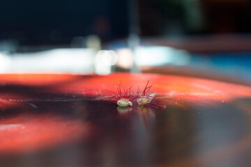 sometimes small pieces of wood, to create highlights in the photo frame.The suburban city has too...