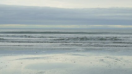 Ocean sea shore waves muddy cloudy gray sky horizon line