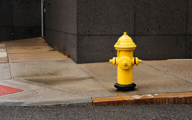 urban scene with a red fire hydrant standing tall on a sunlit street corner, symbolizing safety and...