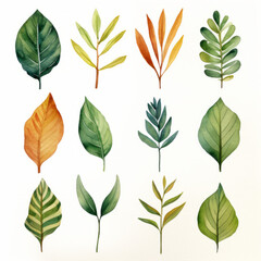 Set of leaf watercolor 