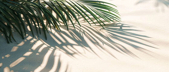 Retreat to the Peaceful Haven of the Shadow of Palm Leaves on a Clean White Sand Beach.