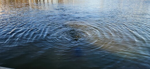 Ripples in the water