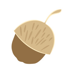 Acorn Nut Icon Vector Illustration