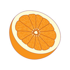 Half Orange Icon Vector Illustration